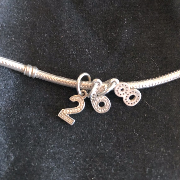 Pandora number charms - Picture 1 of 3